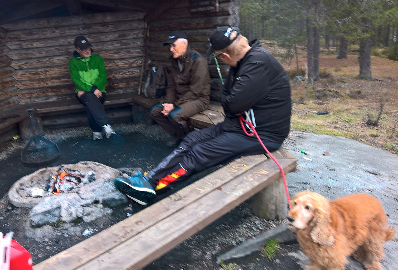 WP_20180503_19_32_31_Pro.jpg